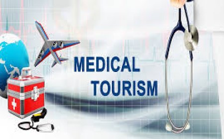 CAN WE BAN POLITICAL OFFICE HOLDERS FROM MEDICAL TOURISM ABROAD?