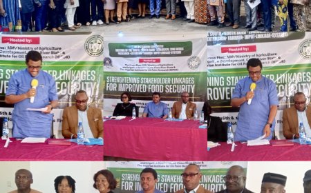 Food Security, Innovation Top Agenda as South-South REFILS Committee Convenes in Calabar
