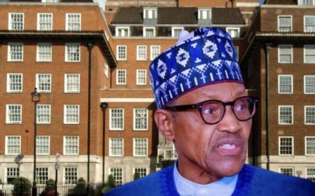 Inside £3,500 Per Day Elite London Clinic Where Buhari Died