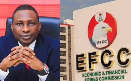 CRIME: 18 Sitting Governors Under EFCC Probe, Says Olukoyede