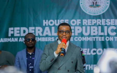 Constitutional Review: C'River, Rivers Support Establishment of State Police, LG Autonomy