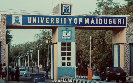 UNIMAID ASUU Rejects Renaming University After Buhari