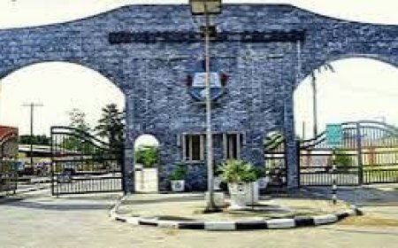How Florence Obi Is Clearing Inherited Mess