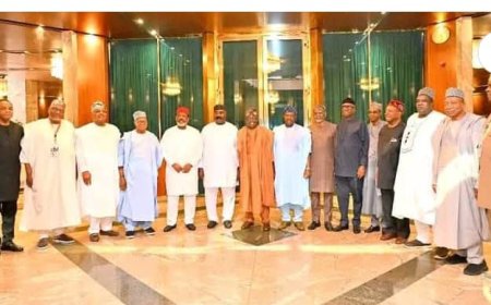’99 Governors Urge Tinubu to Prioritise Jobs Over Palliatives Propose Cottage Industries as Long-Term Economic Fix