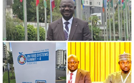 UN Summit: Bisong Projects C'River’s Vision for Food Systems Transformation in Ethiopia