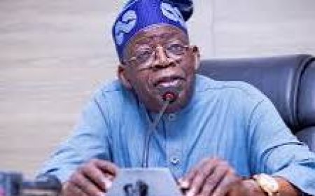 Tinubu Appoints Governing Council, VC, other Principal Officers for New University