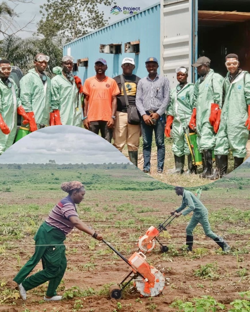 How Gov Otu’s Project Grow is Accelerating Land Allocation to Farmers in Cross River