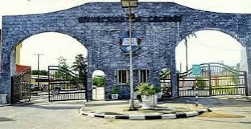 How Florence Obi Is Clearing Inherited Mess