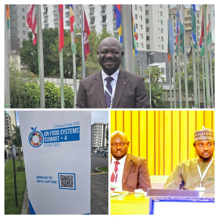UN Summit: Bisong Projects C'River’s Vision for Food Systems Transformation in Ethiopia