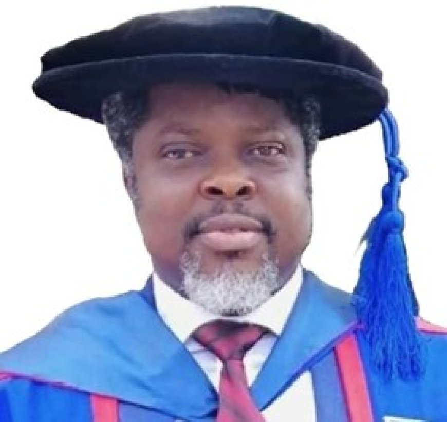 A SQUARE PEG IN A SQUARE HOLE: PROF. PRINCE CHINEDU MMON TAKES THE HELM AT THE FEDERAL UNIVERSITY OF ENVIRONMENT AND TECHNOLOGY, OGONI
