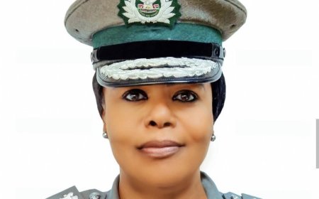 How DCG Nwafor is Discreetly Denied Customs Comptroller-General Position