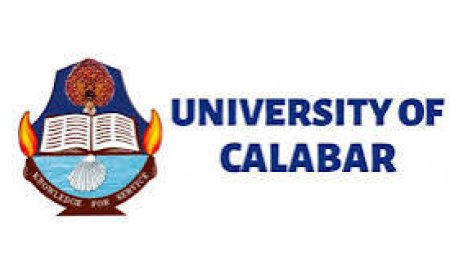 CONCERNED STAKEHOLDERS CAUTION  AGAINST BRIBERY IN THE APPOINTMENT OF UNICAL VC
