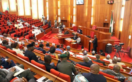 Senates Moves For Rotational Representation of Political Offices Across Constituencies, Senatorial Zones, Geopolitical Regions