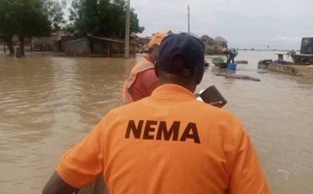 FG Approves N3bn Each For Cross River, Akwa Ibom, Rivers,  Edo, Bayelsa, Ebonyi, 30 Other States To Tackle Flooding