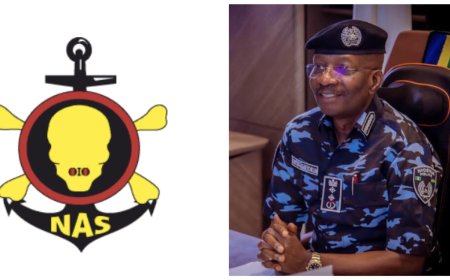 Six Cops Face Sack As NAS Hails IGP, Edo CP Over ₦2m Extortion