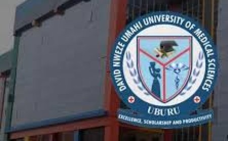 Ebonyi State: Parents Raise The Alarm As David Umahi Fed University Jerk Up School Fees To N1.5m