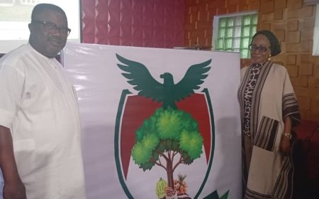 Boki Council Launches Investment Website to Drive E-Governance, Economic Growth