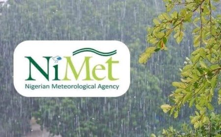 NiMet Predicts Three-day Thunderstorms, Rain In C'River, Rivers, Others From Thursday 13th August 2025
