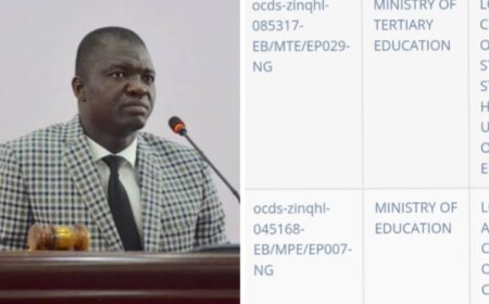 REVEALED : How Governor Nwifuru Awarded N3bn State Contracts To Brother’s Firms, Registered Within 10 Days