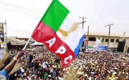 BY-ELELCTION:  APC SWEEPS 12 SEATS, ADC NONE