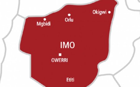 EDUCATION: Imo Govt Bans Nursery, JSS3 Graduation  Ceremonies, Stops Yearly Change Of Textbooks