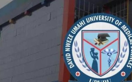 EXCLUSIVE: How Dave Umahi Fed University Turned  Institution Into Revenue Point,  Charges N1.5m As School Fees