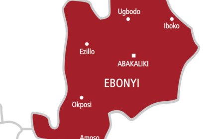 INVESTIGATION:  How Ebonyi Gov't Violates Procurement Law, Awards N3.7bn Projects to Inactive Firms