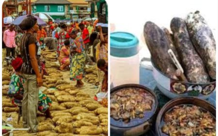 Afikpo Community Agog As 2025 New Yam, Lecture Holds August 24, 25