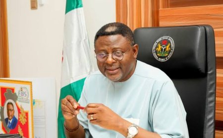NO ONE LEFT IN THE DARK:  WHY THE GOVERNOR SHOULD APPOINT RURAL COMMUNICATION AIDES