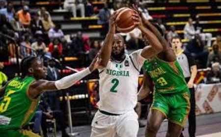 D’Tigers Bow Out of 2025 Afrobasket After Quarterfinal Loss to Senegal