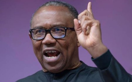 PETER OBI RENEWS PLEDGE TO SERVE A SINGLE TERM IF ELECTED PRESIDENT
