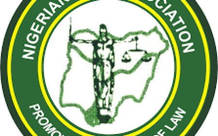 NBA Condemns Police Tinted Permit, Electronic Central Motor Registry Licensing Policies