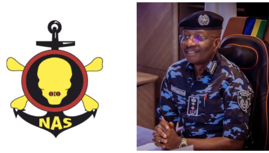 Six Cops Face Sack As NAS Hails IGP, Edo CP Over ₦2m Extortion