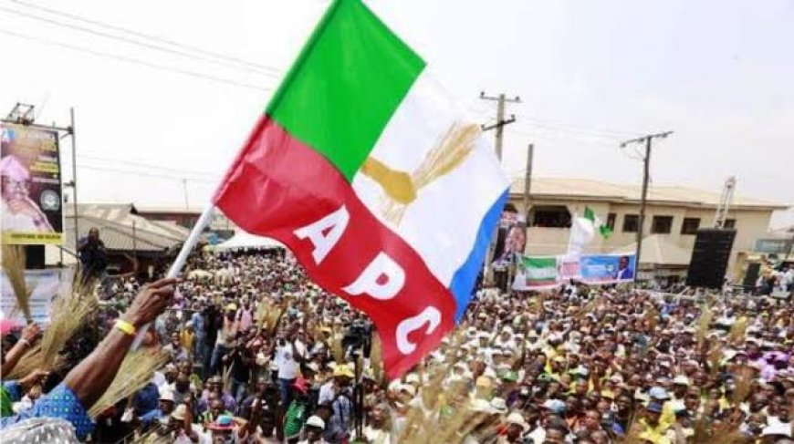 BY-ELELCTION: APC SWEEPS 12 SEATS, ADC NONE