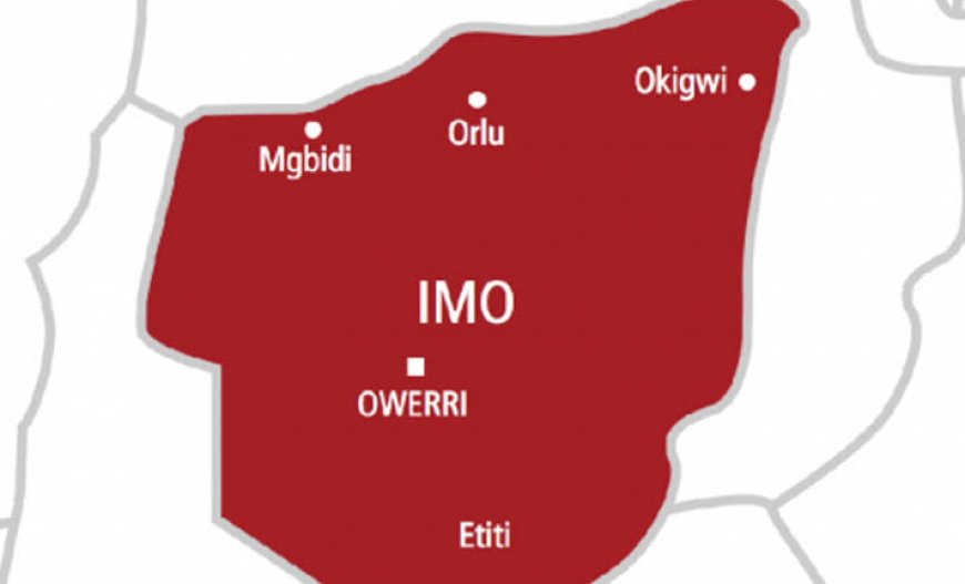 EDUCATION: Imo Govt Bans Nursery, JSS3 Graduation Ceremonies, Stops Yearly Change Of Textbooks