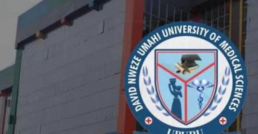 EXCLUSIVE: How Dave Umahi Fed University Turned  Institution Into Revenue Point,  Charges N1.5m As School Fees