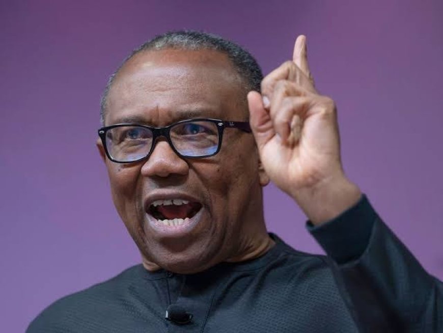 PETER OBI RENEWS PLEDGE TO SERVE A SINGLE TERM IF ELECTED PRESIDENT