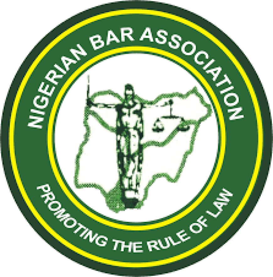 NBA Condemns Police Tinted Permit, Electronic Central Motor Registry Licensing Policies