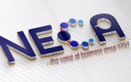PAY N70,000 MINIMUM WAGE NOW, NECA CHIDES STATE GOVS