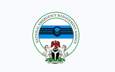 NEMA Reports: 315,762 Persons Affected, 40,493 Houses Damaged in Nigeria Floods