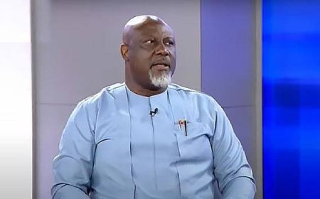 PDP is Now Controlled by The APC ~ Senator Dino Melaye