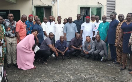 PDP Central Endorses Ikem, Slams National Women Leader’s Plot