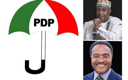 Prof Akpagu Heads  C'River PDP 20-Man Congress Committee