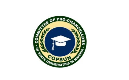 Pro-Chancellors Urge FG To Take Urgent Steps To Avert Fresh Strike In Universities