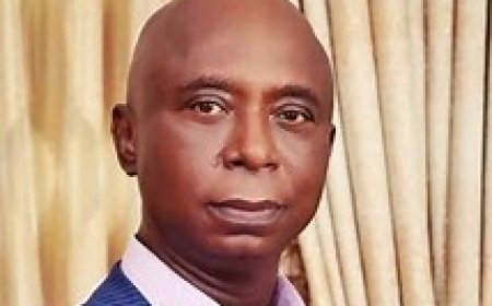 State creation: Ned Nwoko Renews Push for Anioma State