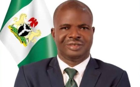 Ebonyi State: We Don't Have Auxiliary Nurses in Our Hospitals, Says Nwifuru Aide