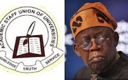 BREAKING: Strike Looms as ASUU Issues 14-Day Ultimatum to FG