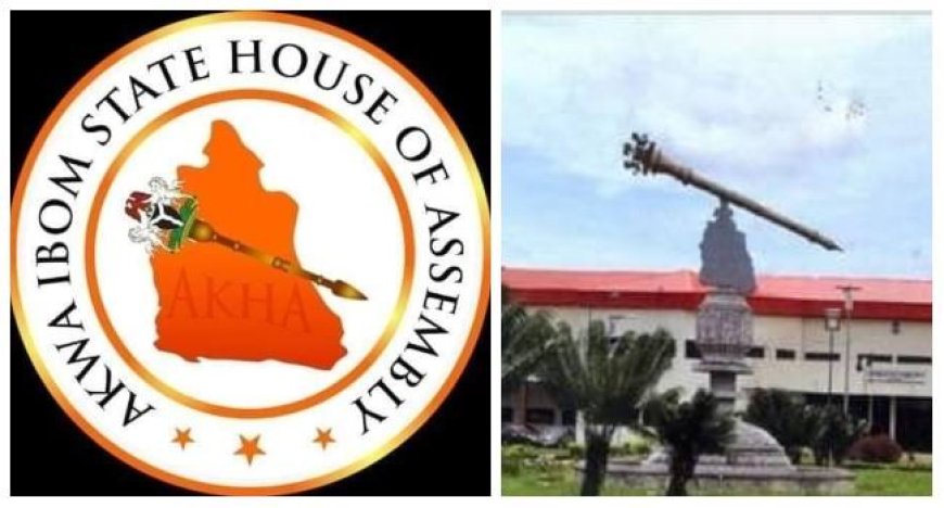 A'Ibom Assembly Demand Disciplinary Action Against Medical Personnel Over Negligence