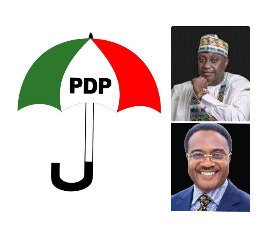 Prof Akpagu Heads C'River PDP 20-Man Congress Committee