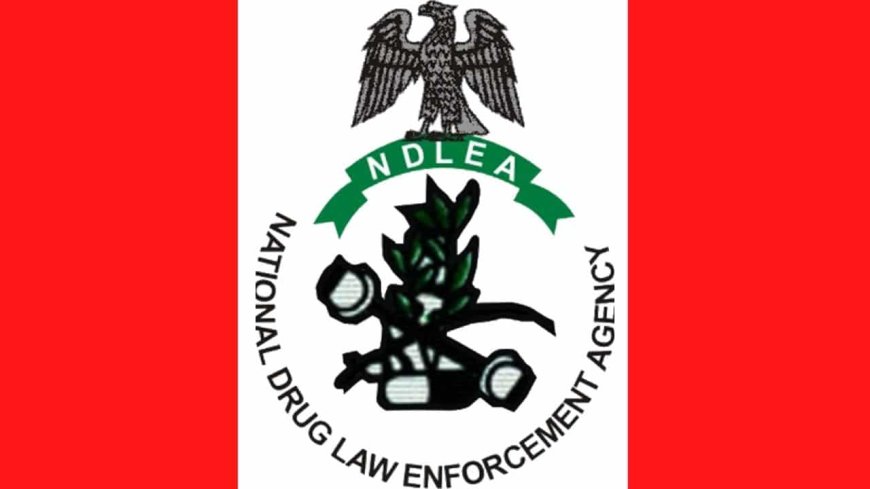 C'River NDLEA Commander Found Dead in Calabar Hotel